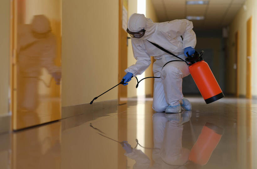 What Are The Pest Control Charges In Delhi
