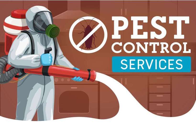 Affordable Pest Control Services In Delhi NCR