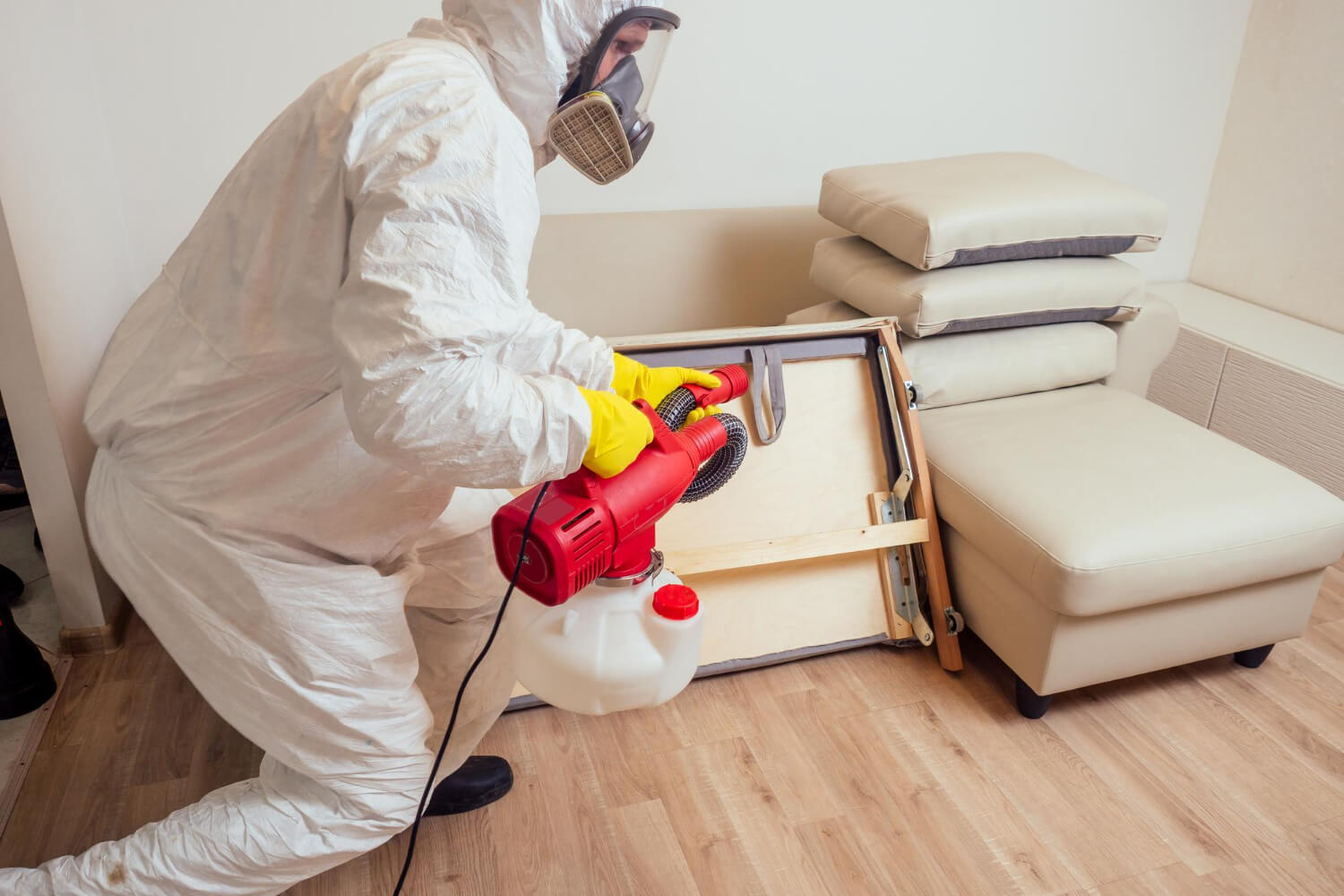 Experts Pest Control Services in Gurgaon