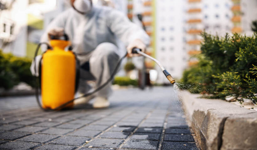 Get Effective Pest Control Solutions To Homeowners And Businesses