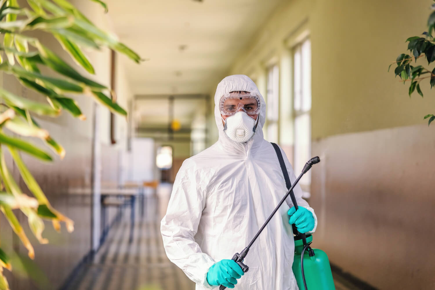 What Are The Charges For Pest Control Treatment Services