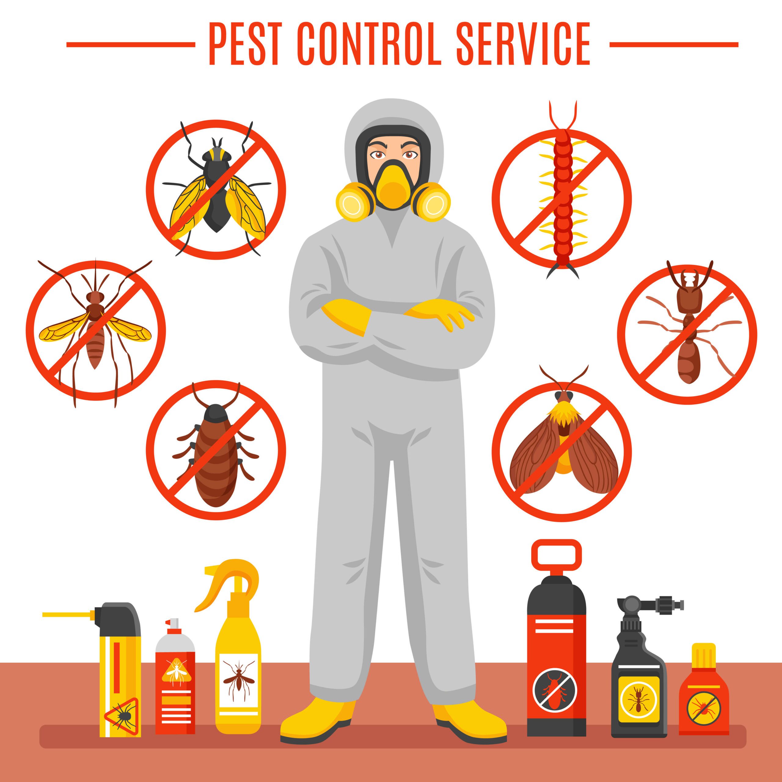 Where can I Get Various Types of Pest Control Services in India