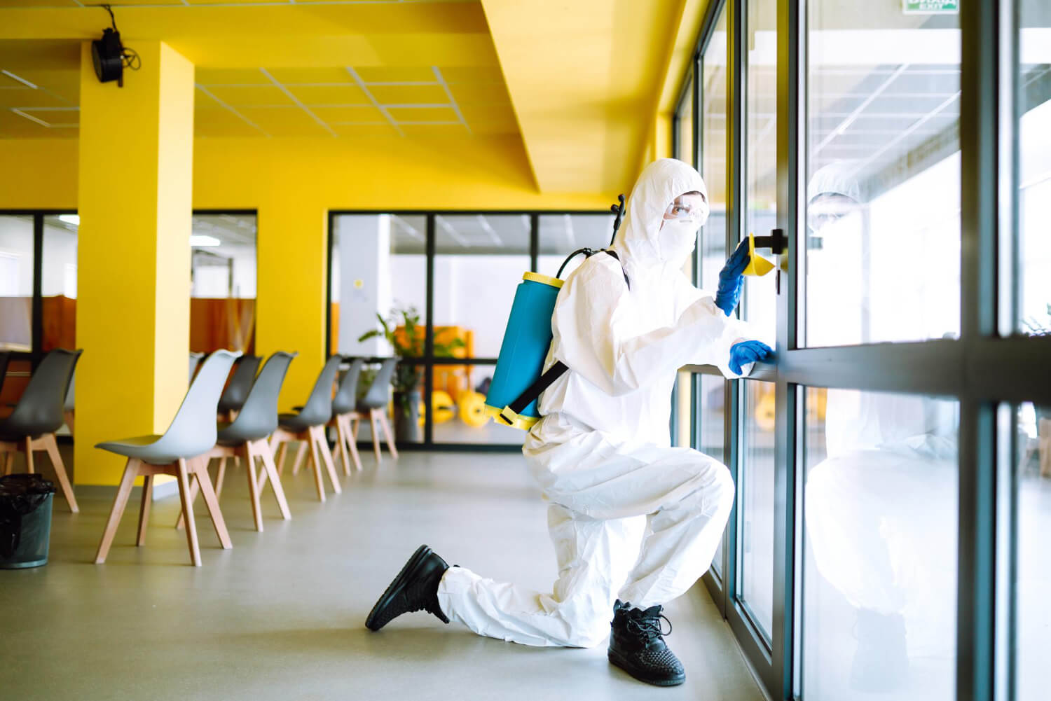How Essential Pest Control is For Offices