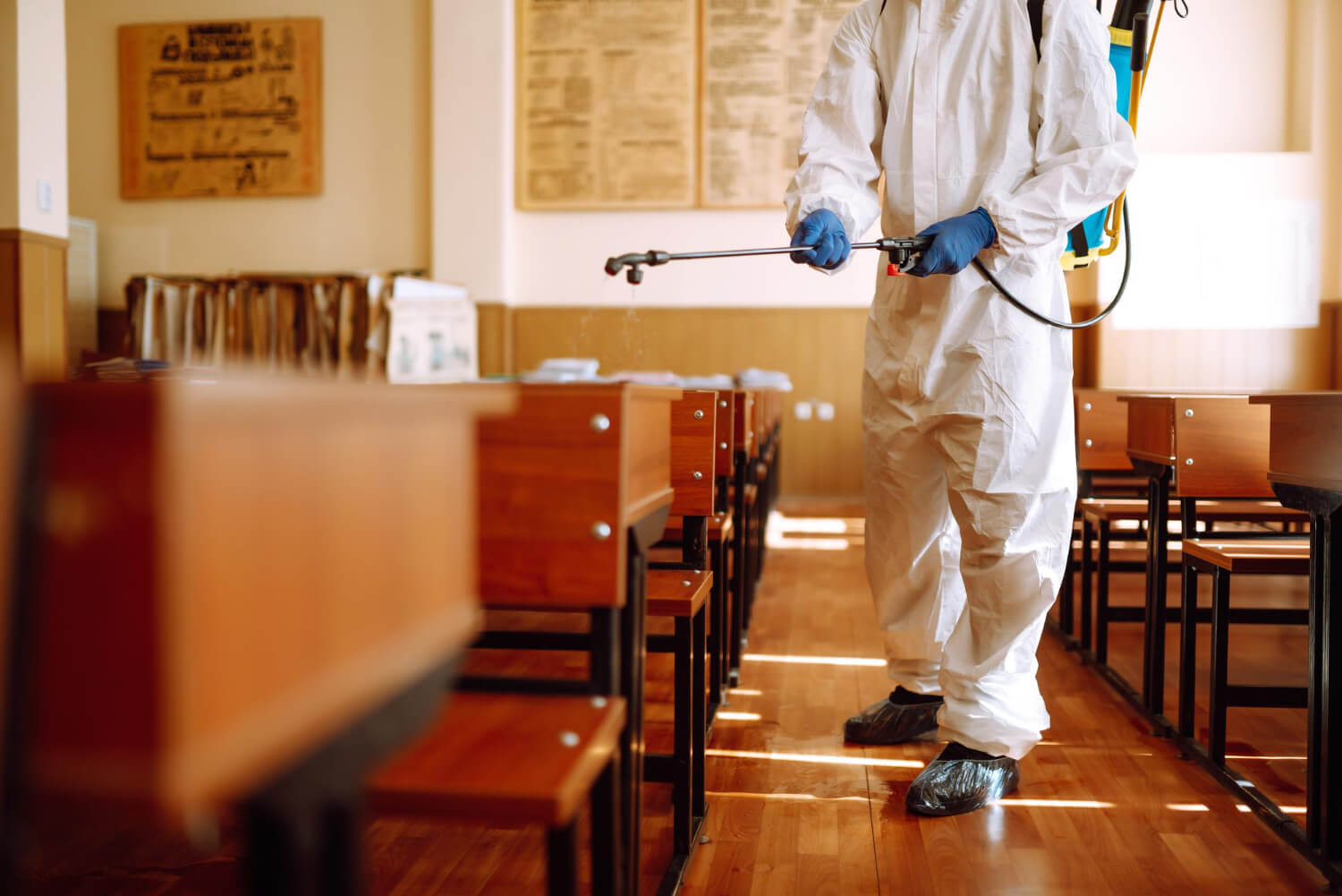 What are the Charges for Pest Control Services in Delhi for Termite