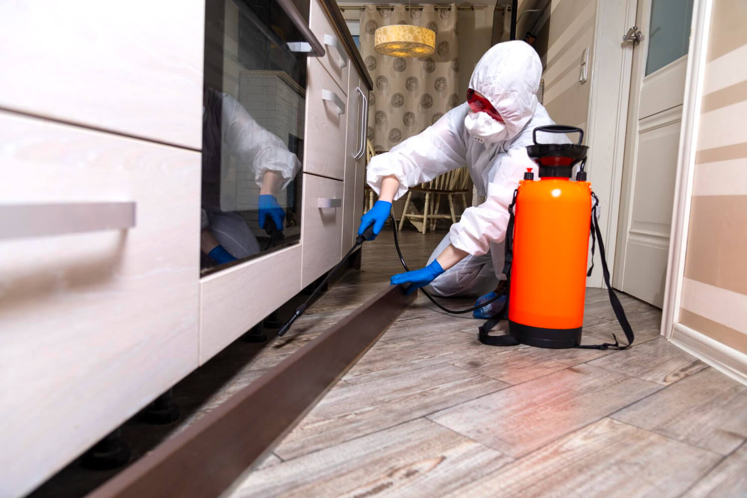 Who Are the Best Pest Control Providers in Delhi
