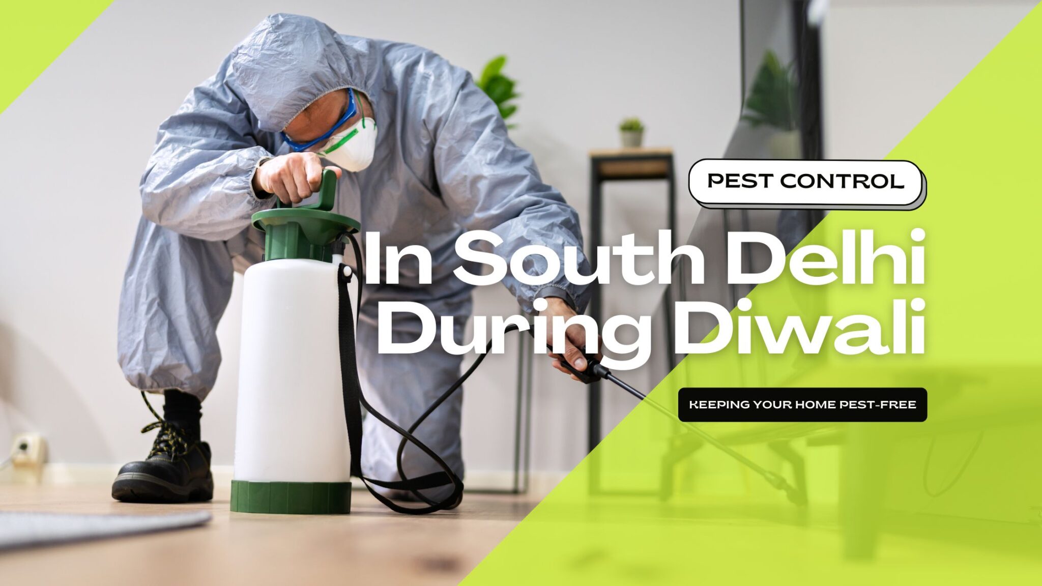 Pest Control In South Delhi For A PestFree Diwali